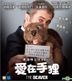 The Beaver (2011) (VCD) (Hong Kong Version)