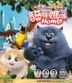 Cats (2018) (DVD) (Hong Kong Version)
