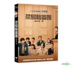 菜鸟陪审团 (2019) (DVD) (台湾版)