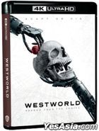 西部世界 (4K Ultra HD + Blu-ray) (1-8集) (第4季) (香港版)