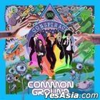 COMMON GROUND Vol. 5 - CONSPIRACY ( LP ) (Limited Edition)