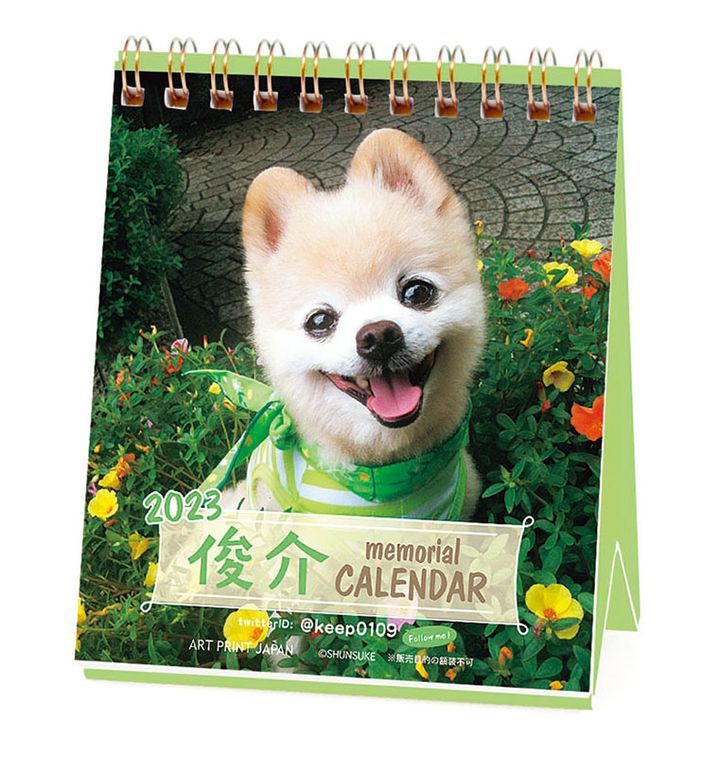 YESASIA Shunsuke 2023 Mini Weekly Calendar (Japan Version) CALENDAR