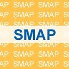 SMAP 25 YEARS (Normal Edition)(Japan Version)