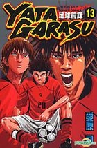 Yata Garasu (Vol.13)