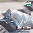 Kutsurogi Neko 2024 Calendar (Japan Version)