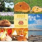 Kapibara-san 2023 Calendar