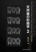 天然歯の形態学　２