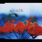 READY STEADY GO (Japan Version)
