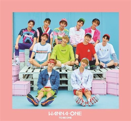 ワナワン 1×1=1(TO BE ONE) pink　廃盤　新品未開封 ワナワン 1×1=1(TO BE ONE) pink 廃盤 新品未開封 - メルカリ