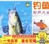 Fishing Utility Completing (VCD) (Book+VCD) (China Version)