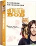 遇見街貓BOB (2016) (DVD) (台灣版)