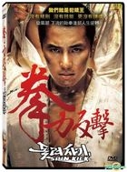 拳力反击 (2004) (DVD) (2019再版) (台湾版) 