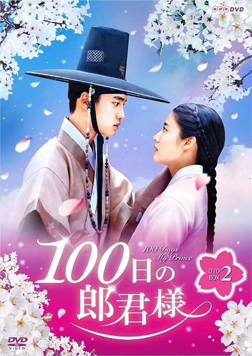 Han so hee 100 days my prince