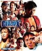 G1 Climax 2011 (DVD) (DVD + Blu-ray) (Japan Version)