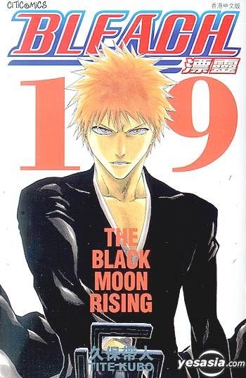 BLEACH Manga Volume 19