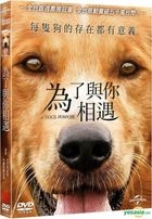 A Dog's Purpose (2017) (DVD) (Taiwan Version)