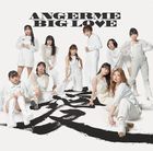 BIG LOVE   (Normal Edition) (Japan Version)