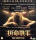The Wrestler (VCD) (Hong Kong Version)