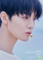 Bae Jin Young 1st Photobook - RE-ROUTE