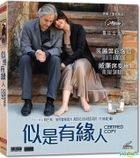 似是有緣人 (2010) (VCD) (香港版) 