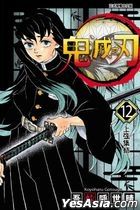 Demon Slayer: Kimetsu no Yaiba (Vol.12)