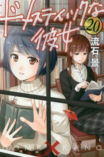 Domestic na Kanojo Domestic Girlfriend Vol.19 Japanese Manga New Free Shipping! 