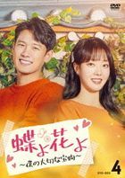 是金 是玉 (DVD) (BOX4)(日本版) 