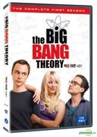 Big Bang Theory - Season 1 (DVD) (Korea Version)