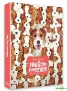 How to Steal a Dog (Blu-ray) (Scanavo Case + Outcase + Photobook + Photo Cards) (Full Slip Limited Edition) (Korea Version)