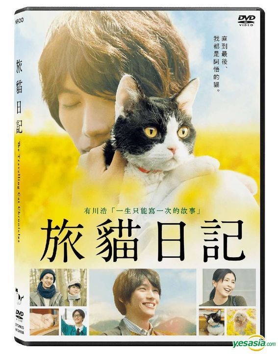 hk cat 3 movies