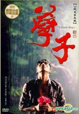 Yesasia 公视文学大戏 孽子 Dvd 完 台湾版 Dvd 范植伟 张孝全 台湾电视剧 邮费全免 北美网站