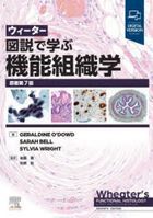 ui ta  zusetsu de manabu kinou soshikigaku