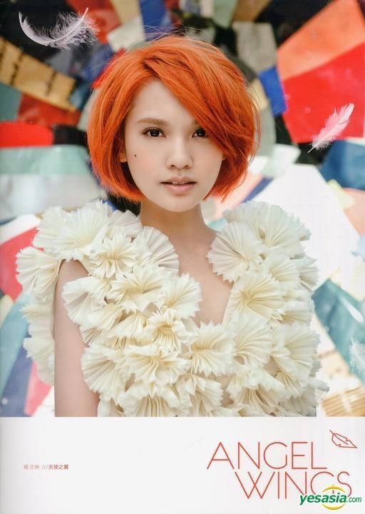 YESASIA Angel Wings (Special Edition) CD Rainie Yang, Sony Music