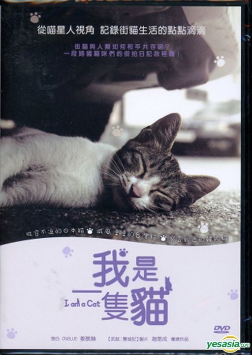 The Cat ザ・キャット DVD 韓国映画 パク・ミニョン 主演 韓流ドラマ