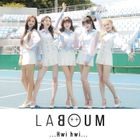 Hwi hwi  [Type A] (SINGLE + DVD + BOOKLET) (First Press Limited Edition) (Japan Version)