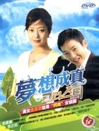 Dream Come True (DVD) (End) (Mandarin Dubbed) (SBS TV Drama) (Taiwan Version)