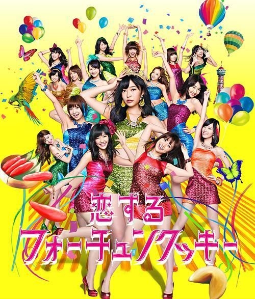 匿名配送 送料無料 フォーチュン・クッキー 特別版 DVD Amazon.co.jp: フォーチュン・クッキー 特別版 [DVD
