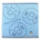 Pokemon Hand Towel (Pochama)