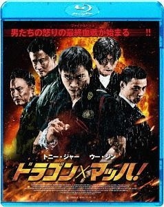 Kill Zone 2 DVD W/TONY JAA---WU JING---ZHANG JIN BRAND NEW