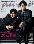 anan 20483-12/21 2022