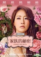 家族的秘密 (DVD) (1-103集) (完) (韓/國語配音) (中英文字幕) (tvN劇集) (新加坡版) 