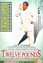 褚传形意《十二洪捶》(DVD) (中英文字幕) (中国版) 