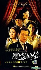 暴雨梨花 (VCD) (第二輯) (完) (中國版) 