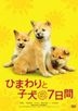 7 Days of Himawari & Her Puppies (DVD)(Japan Version)