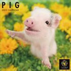 The PIG 2023年月曆 (日本版)