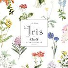 Iris (Normal Edition) (Japan Version)