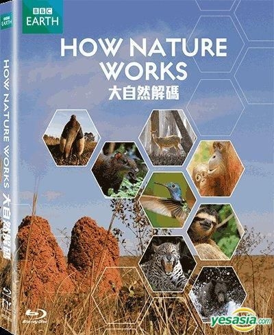 YESASIA: How Nature Works (Blu-ray) (BBC TV Program) (Hong Kong Version) - BBC Home Video - Western / World Movies & Videos - Free
