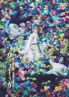 Musical VERACHICCA (DVD) (Normal Edition) (Japan Version)