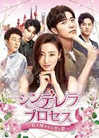 Young and Beautiful (DVD) (Box 3) (Japan Version)