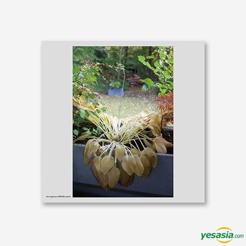 HYUKOH THROUGH LOVE VINYL LP レコード アナログ盤 Hyukoh – Through Love | Releases | Discogs